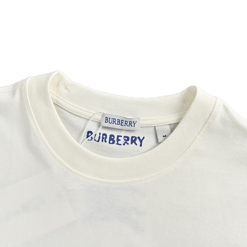Burberry T-shirts-1066