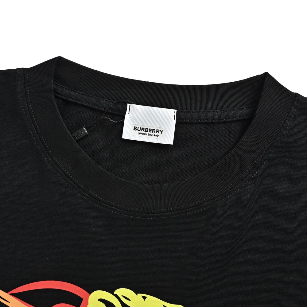 Burberry T-shirts-1167