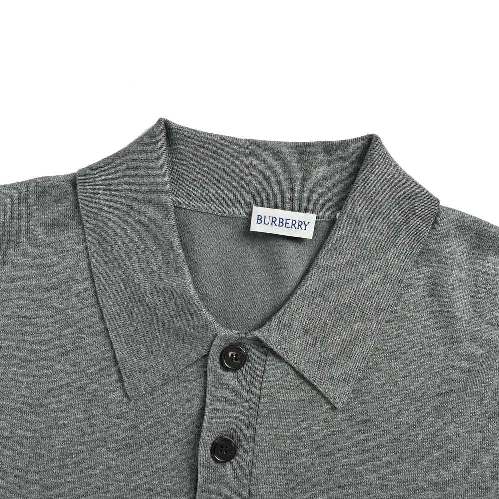 Burberry Polo(AAA)-084
