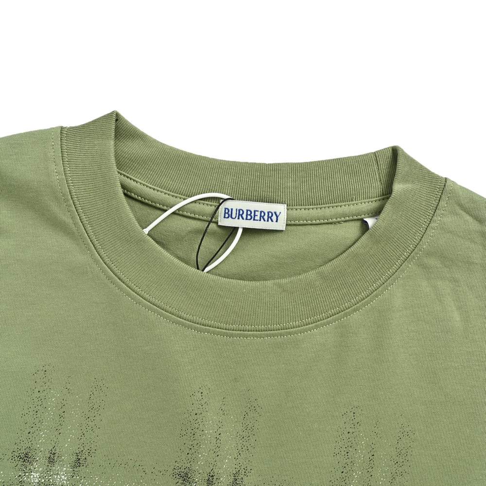 Burberry T-shirts-1049