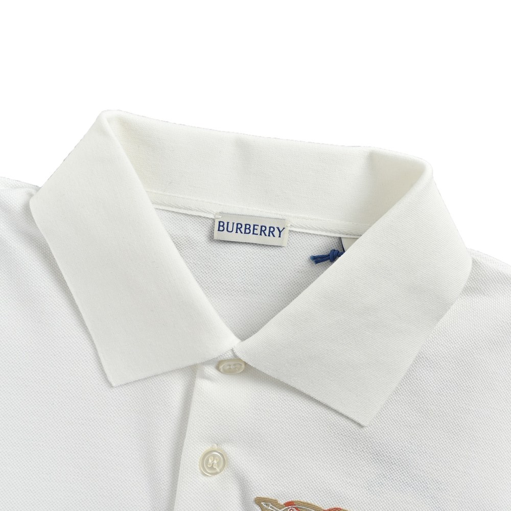 Burberry Polo(AAA)-041