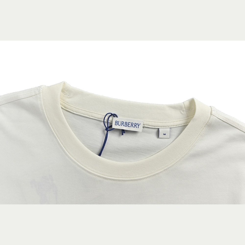 Burberry T-shirts-1239