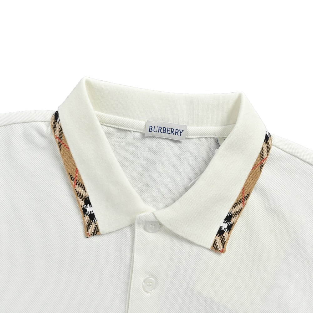 Burberry Polo(AAA)-050
