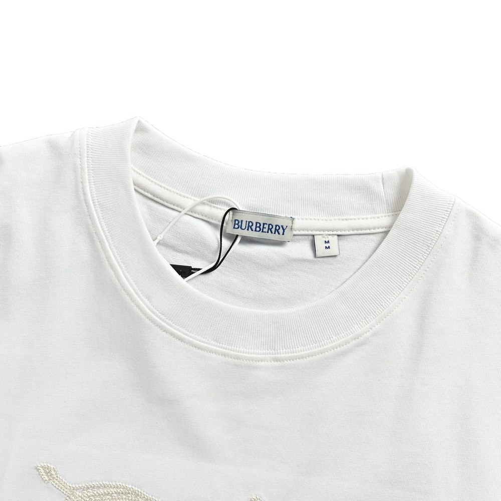 Burberry T-shirts-1110