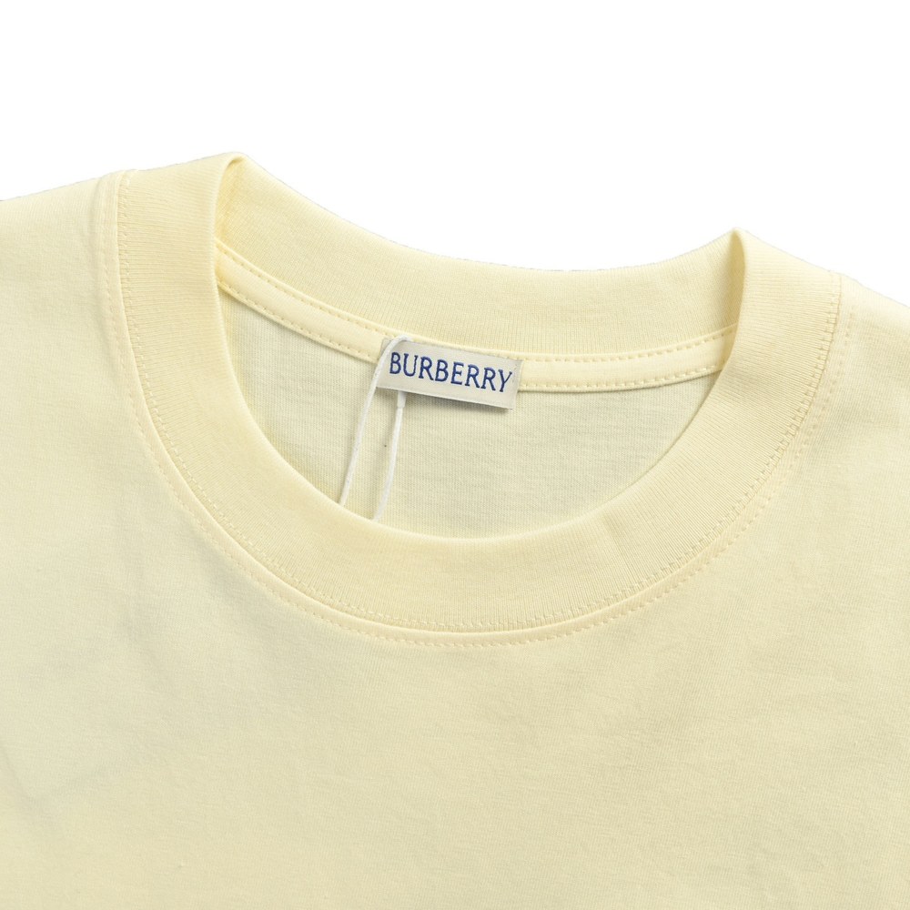 Burberry T-shirts-1082