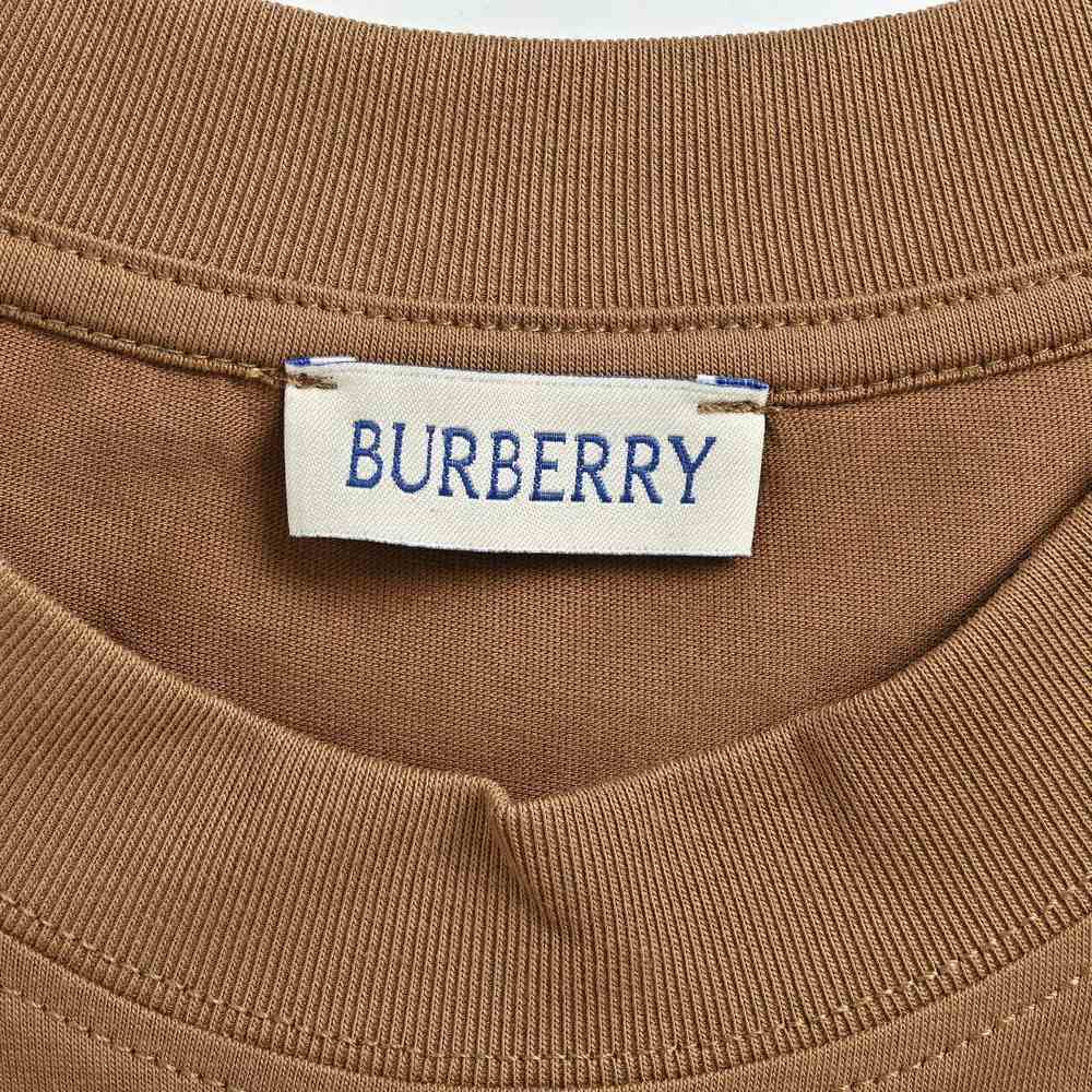 Burberry T-shirts-1100