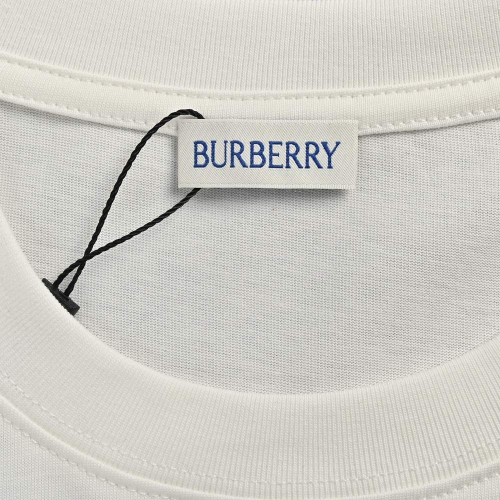 Burberry T-shirts-1072