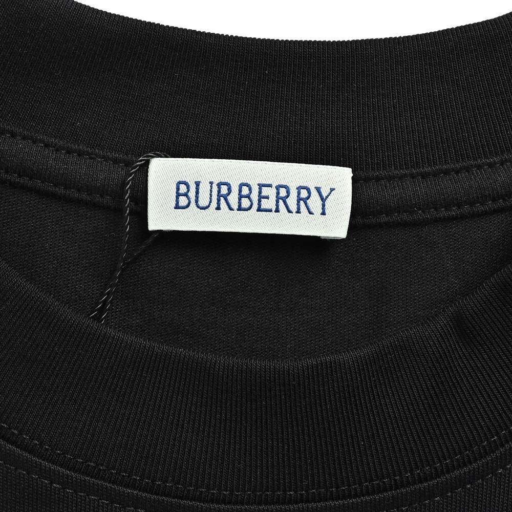 Burberry T-shirts-1086