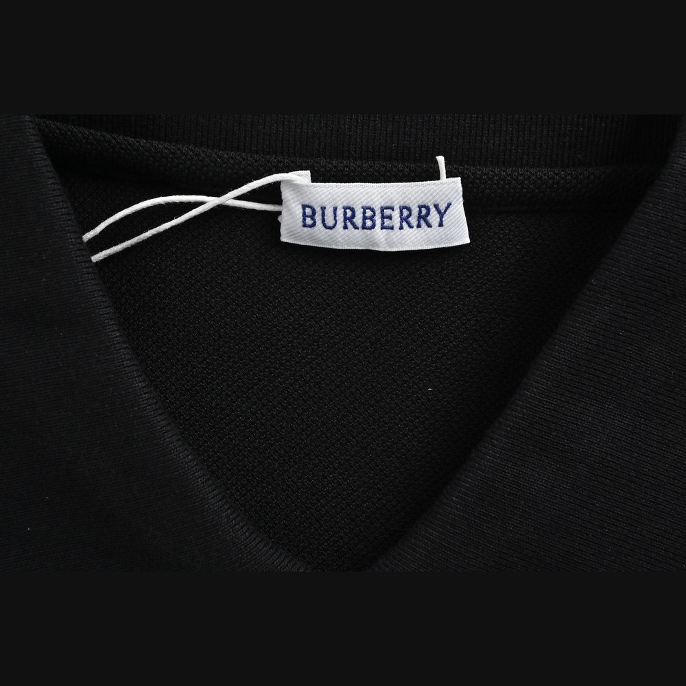 Burberry Polo(AAA)-007