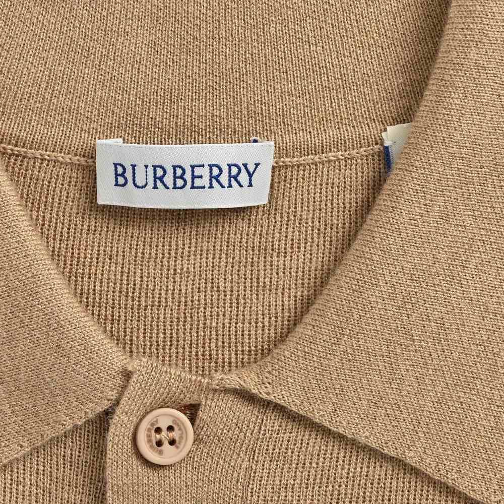 Burberry Polo(AAA)-082