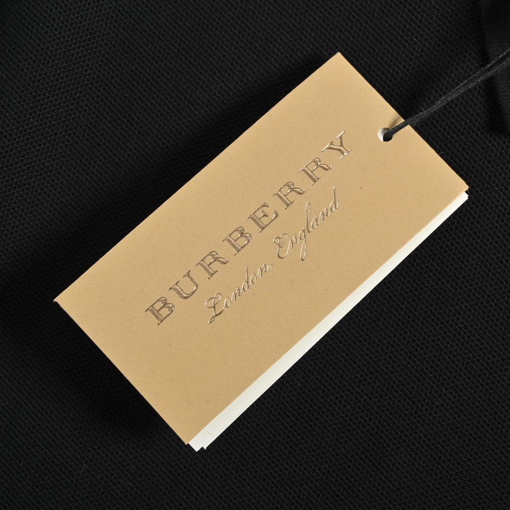 Burberry Polo(AAA)-055