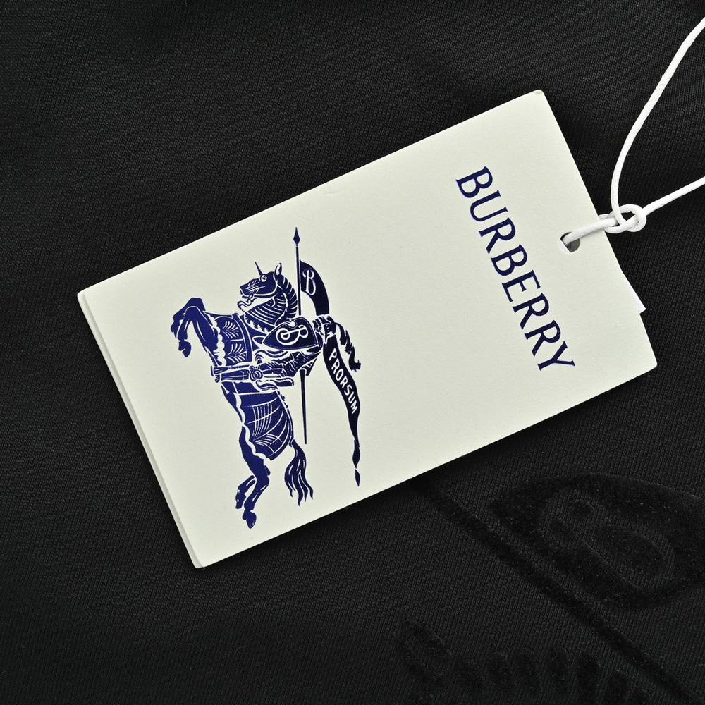 Burberry T-shirts-1052