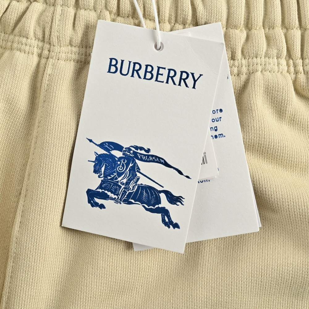 Burberry Shorts-165