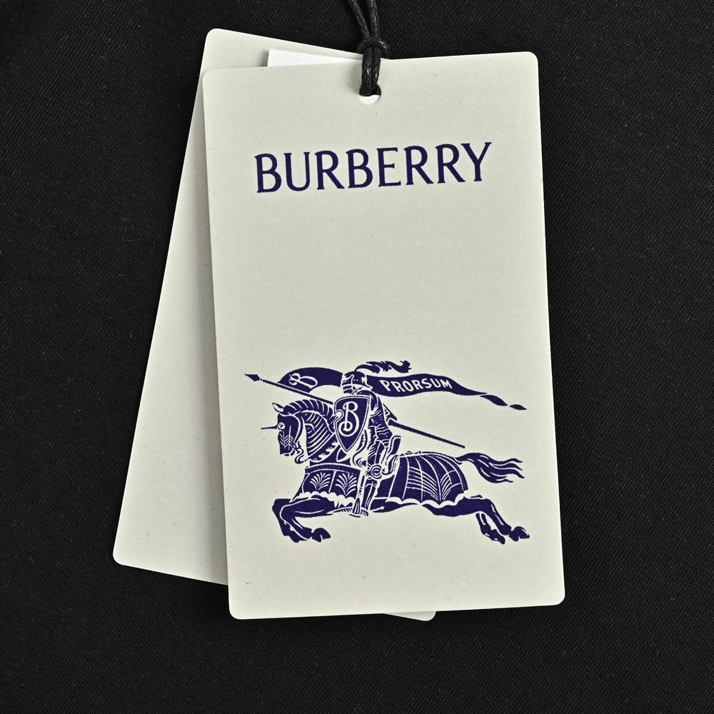 Burberry T-shirts-1099
