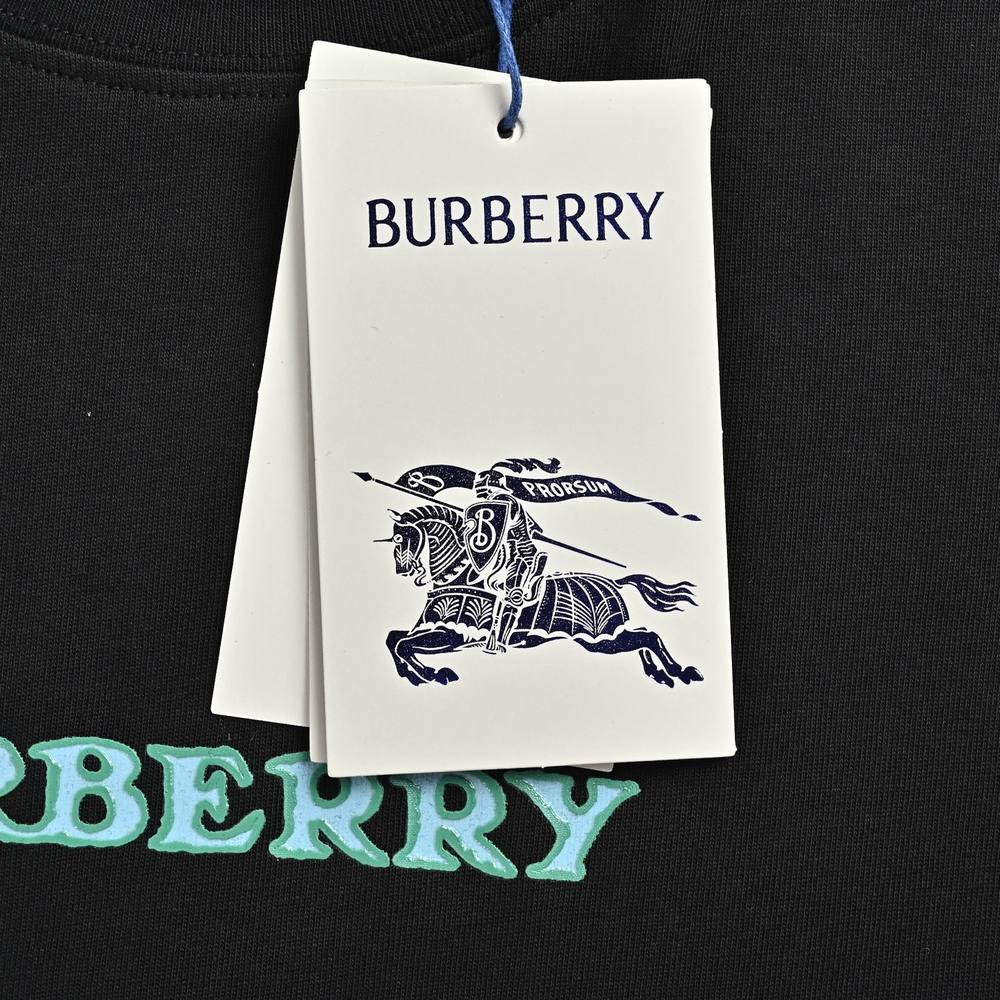 Burberry T-shirts-1247