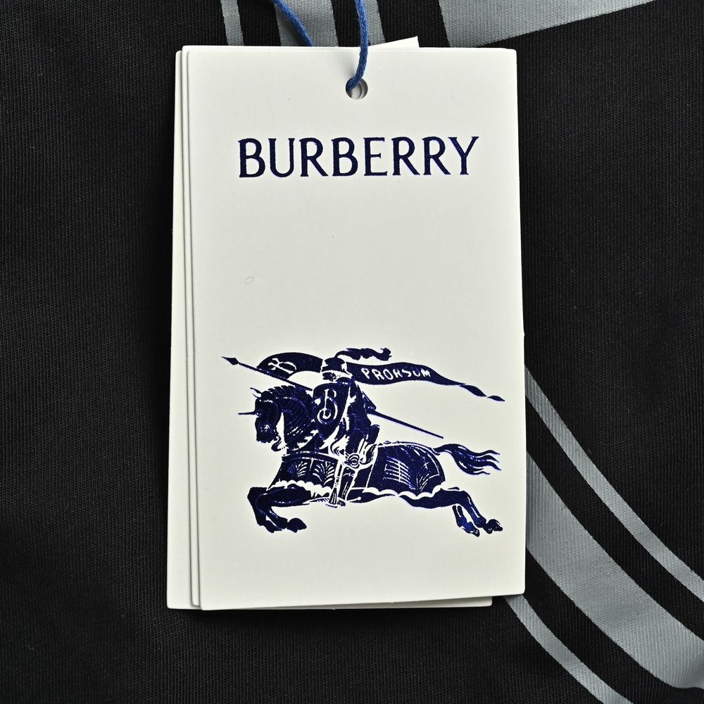 Burberry T-shirts-1251