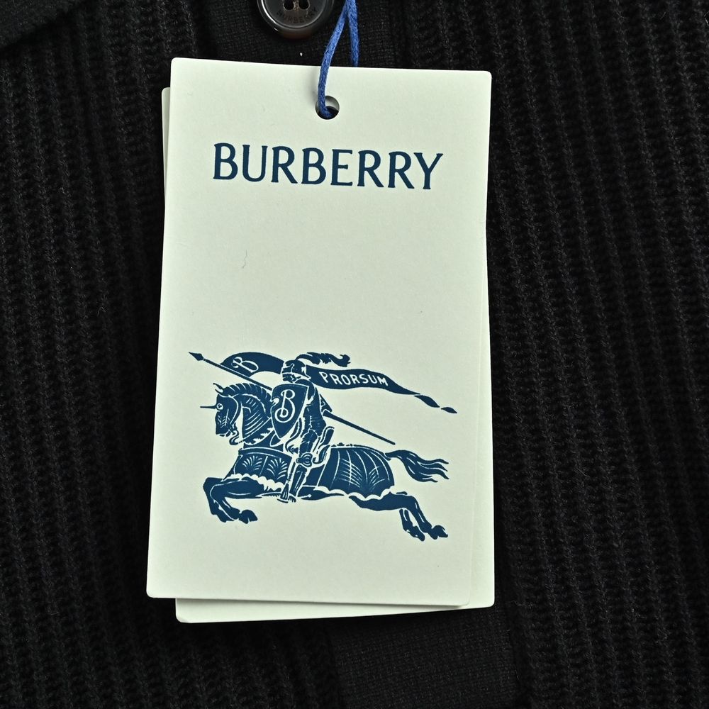 Burberry Polo(AAA)-090