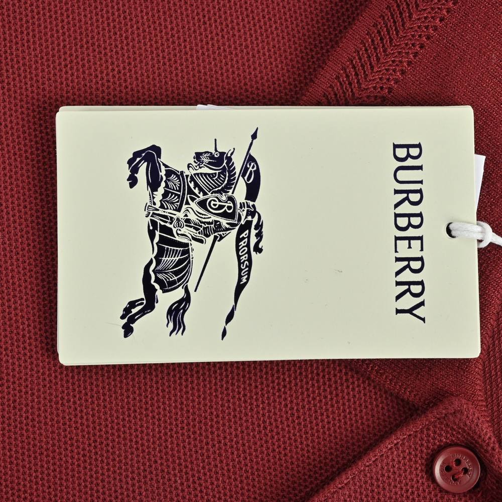 Burberry Polo(AAA)-039