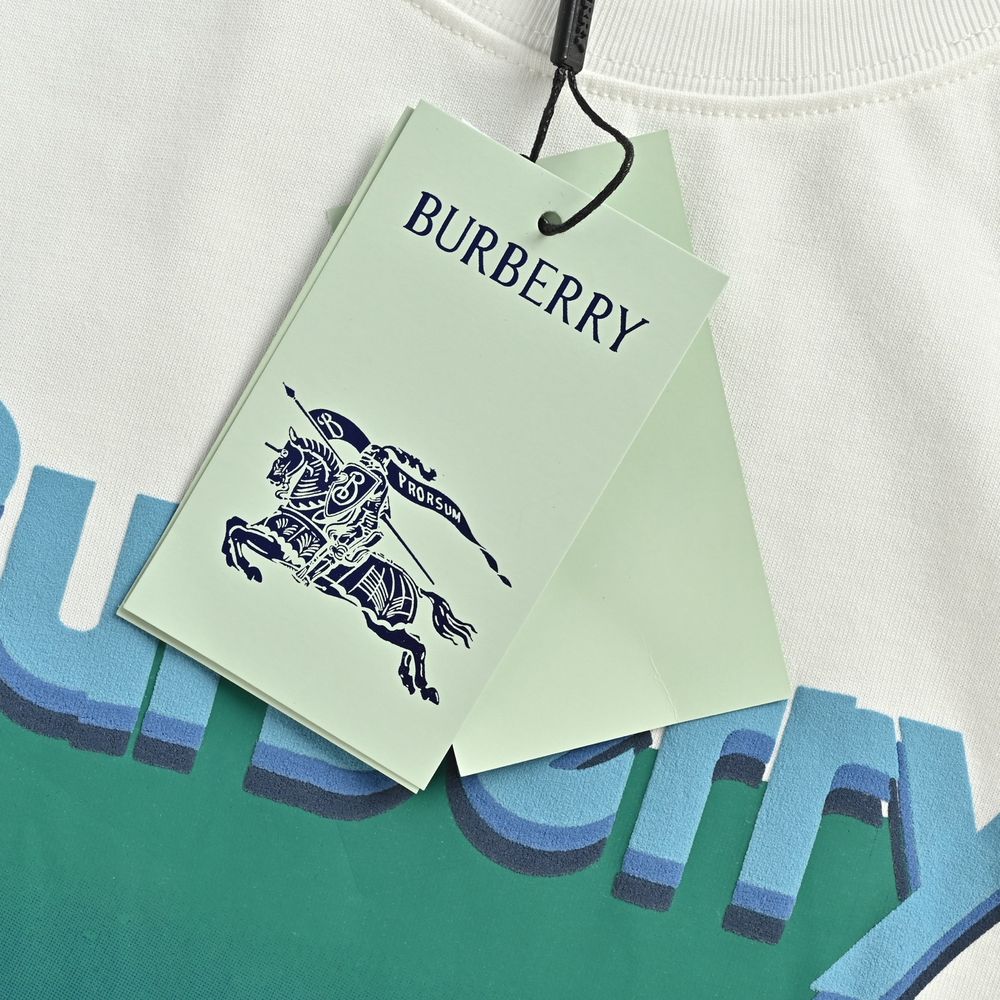 Burberry T-shirts-1232