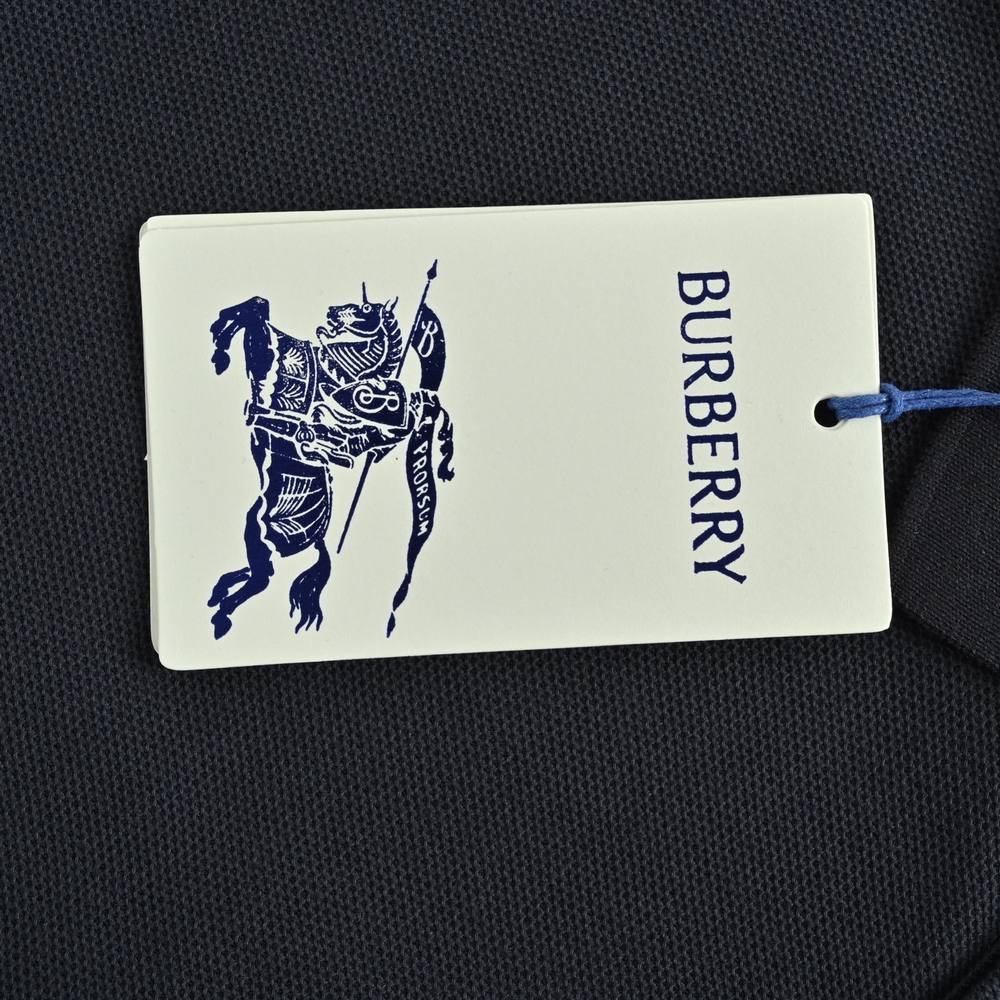 Burberry Polo(AAA)-015