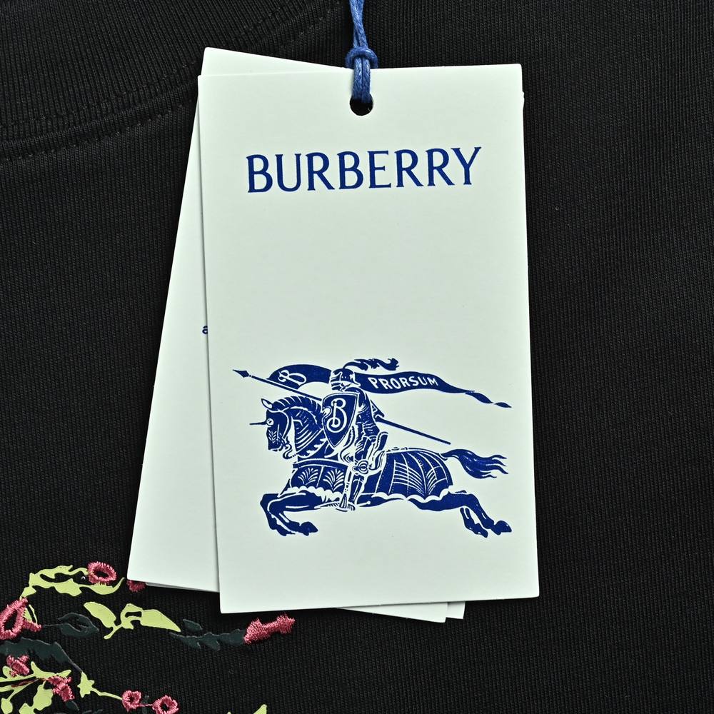 Burberry T-shirts-1265