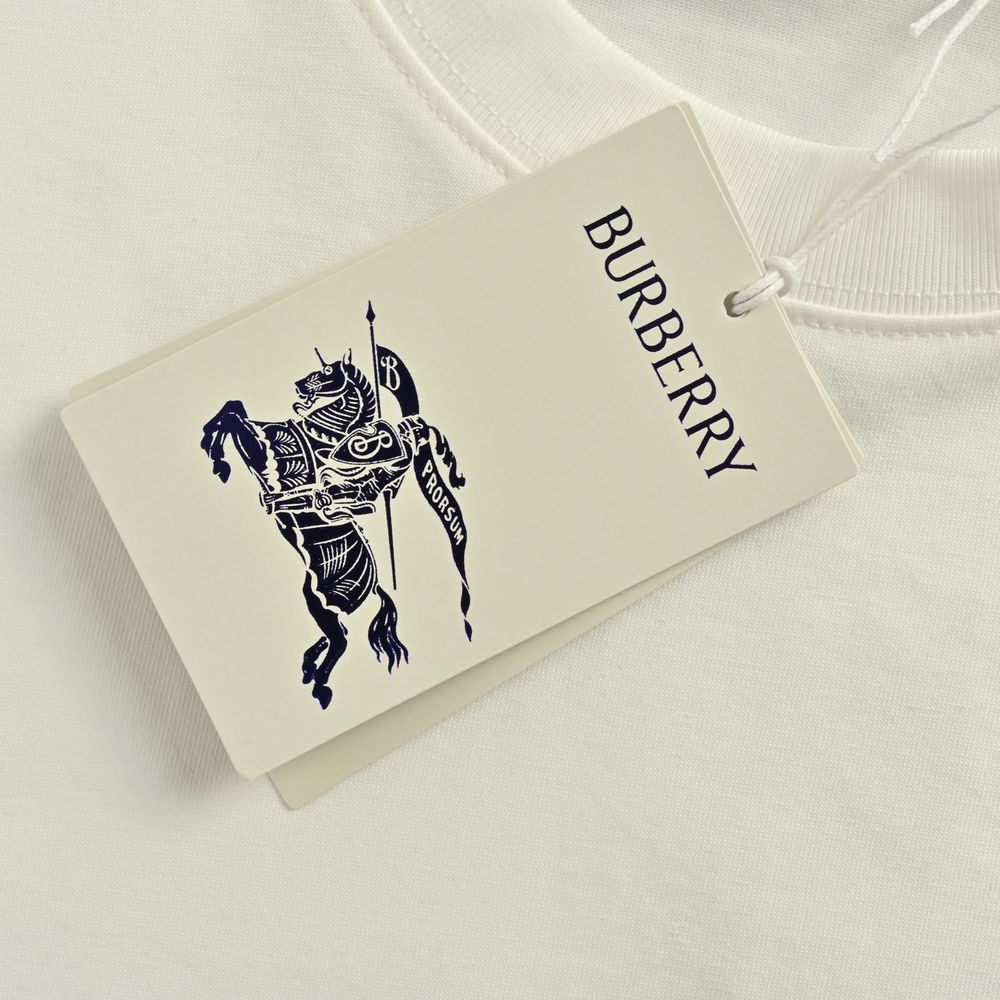 Burberry T-shirts-1220