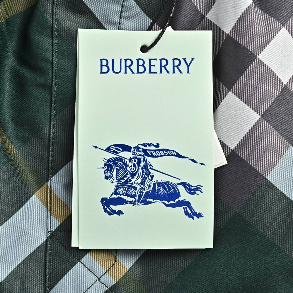 Burberry Shorts-143