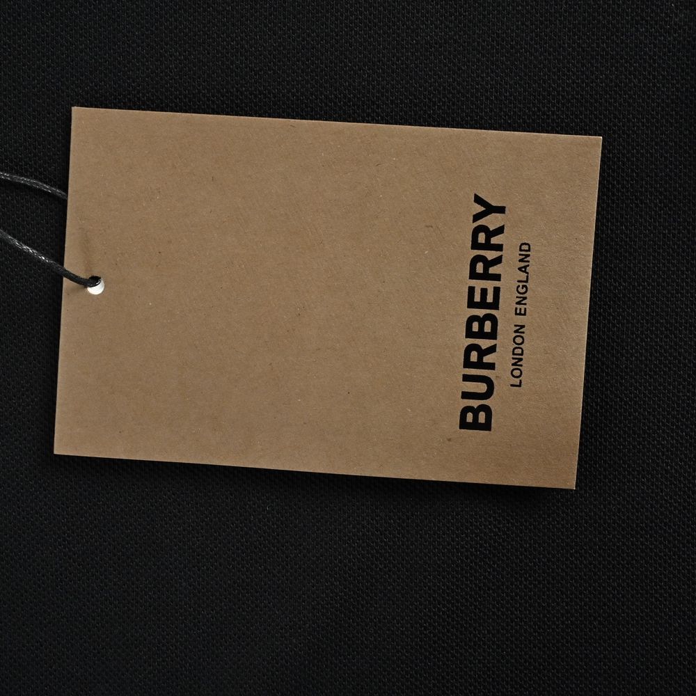Burberry Polo(AAA)-059