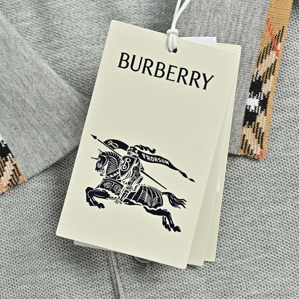 Burberry Polo(AAA)-049