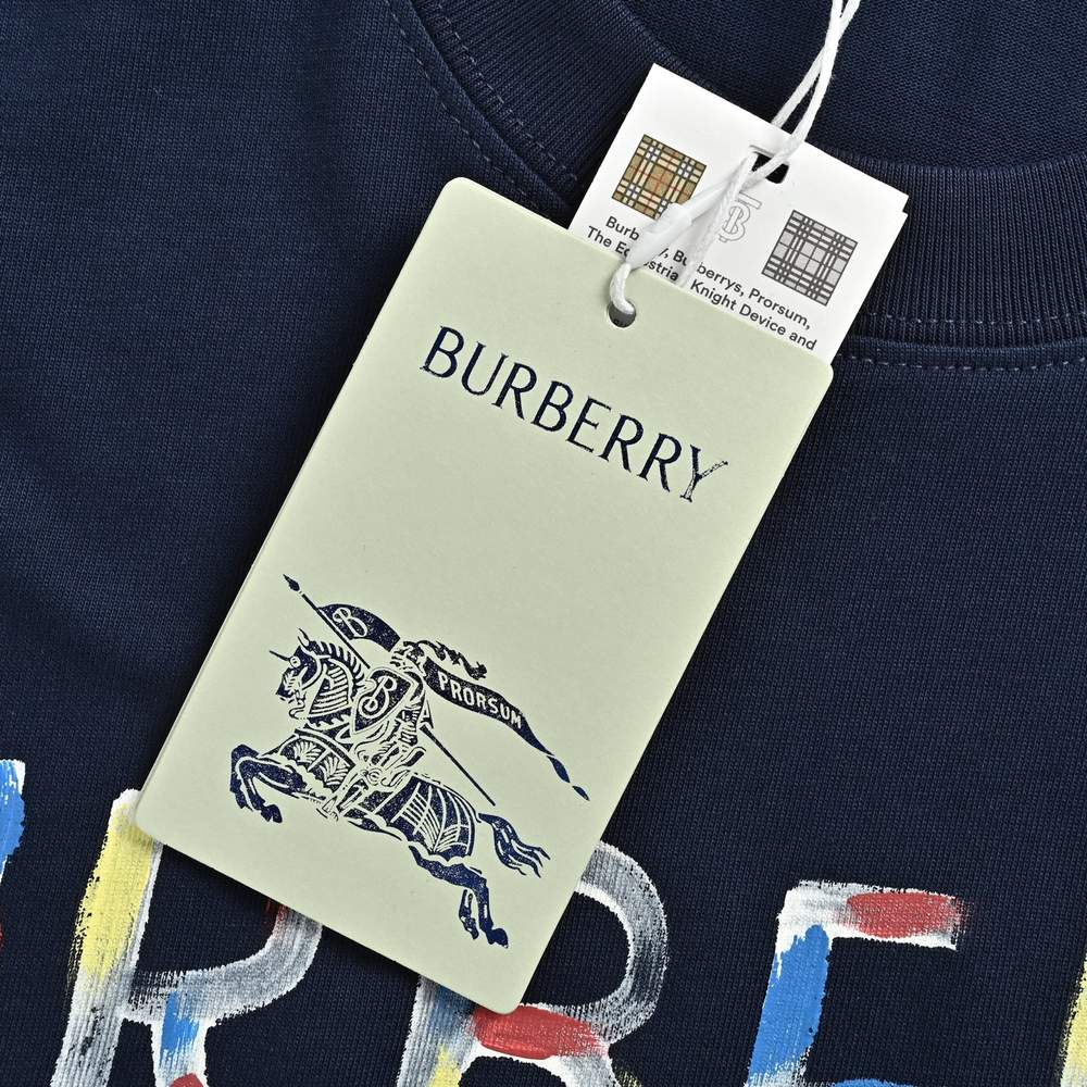 Burberry T-shirts-1165