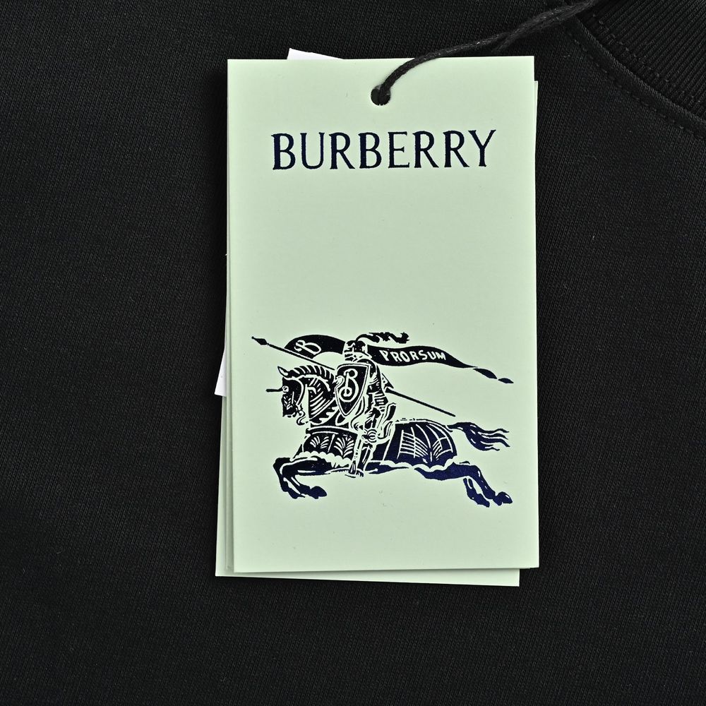 Burberry T-shirts-1102