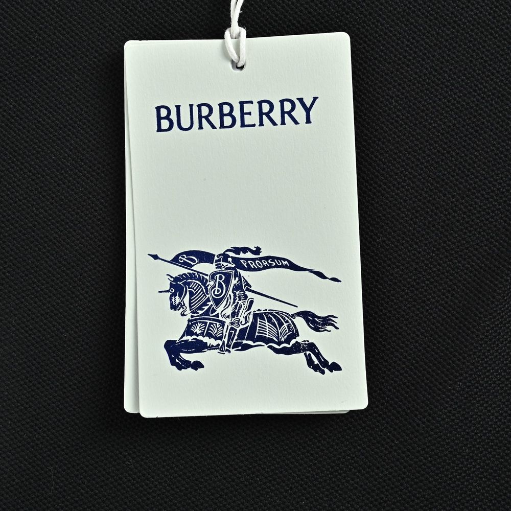 Burberry Polo(AAA)-091
