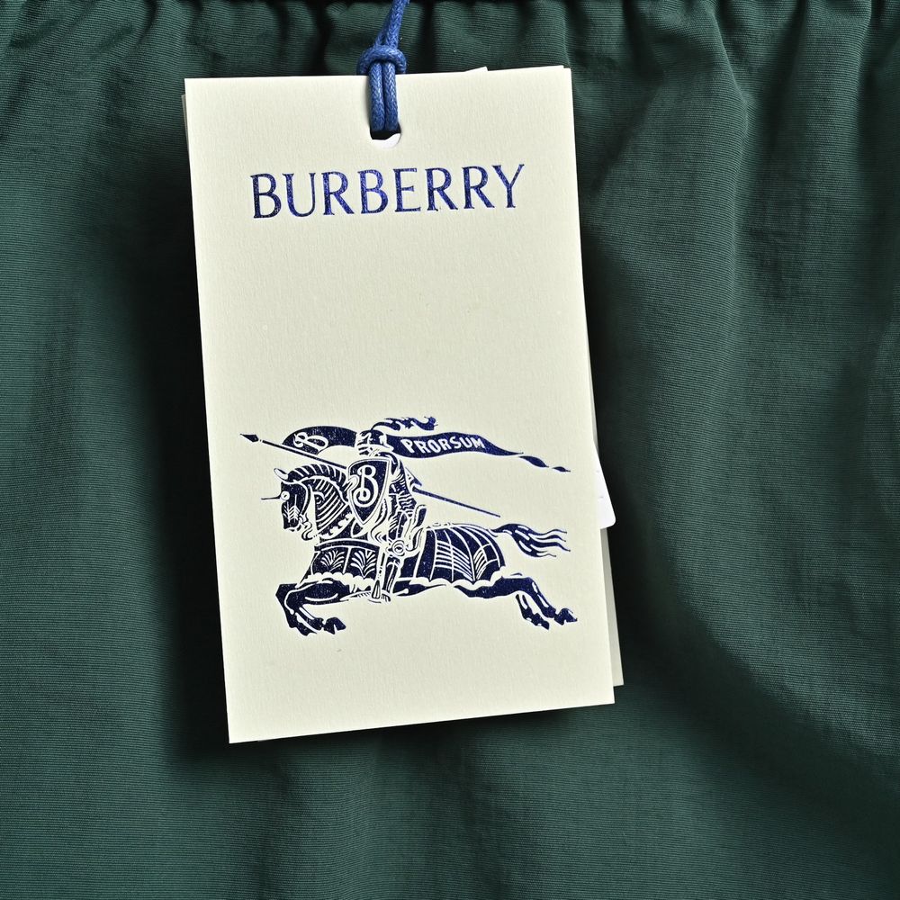 Burberry Shorts-141
