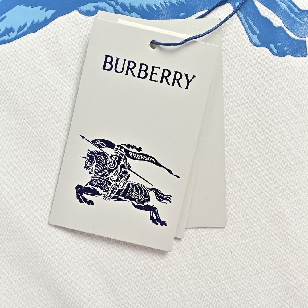 Burberry T-shirts-1248