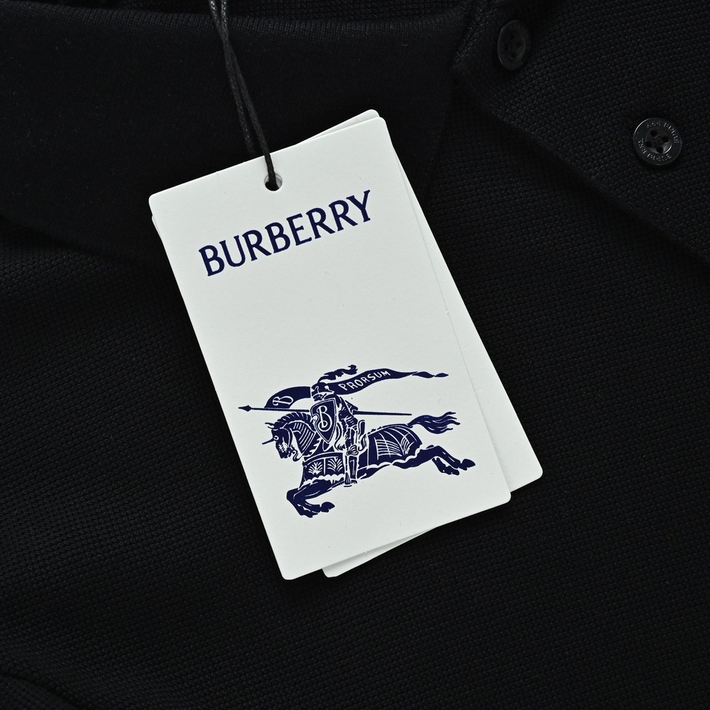 Burberry Polo(AAA)-062