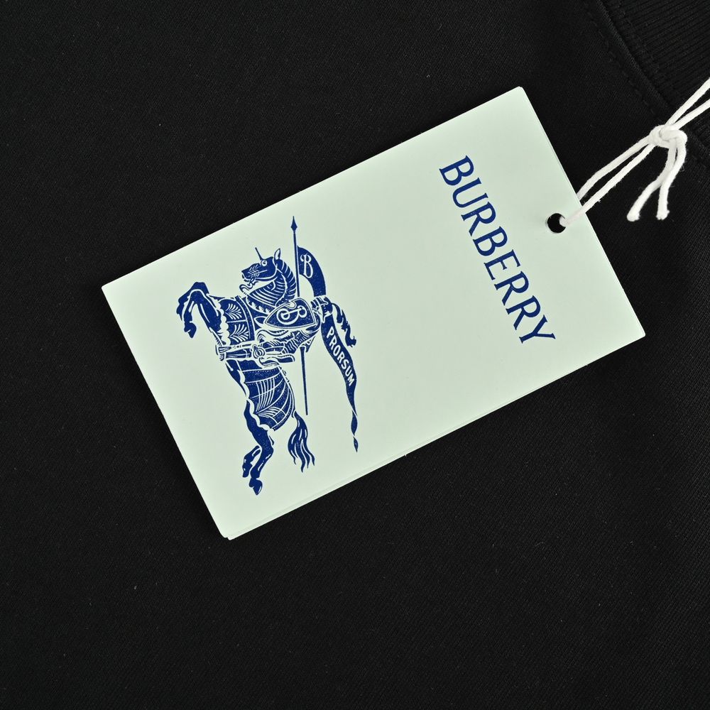 Burberry T-shirts-1079
