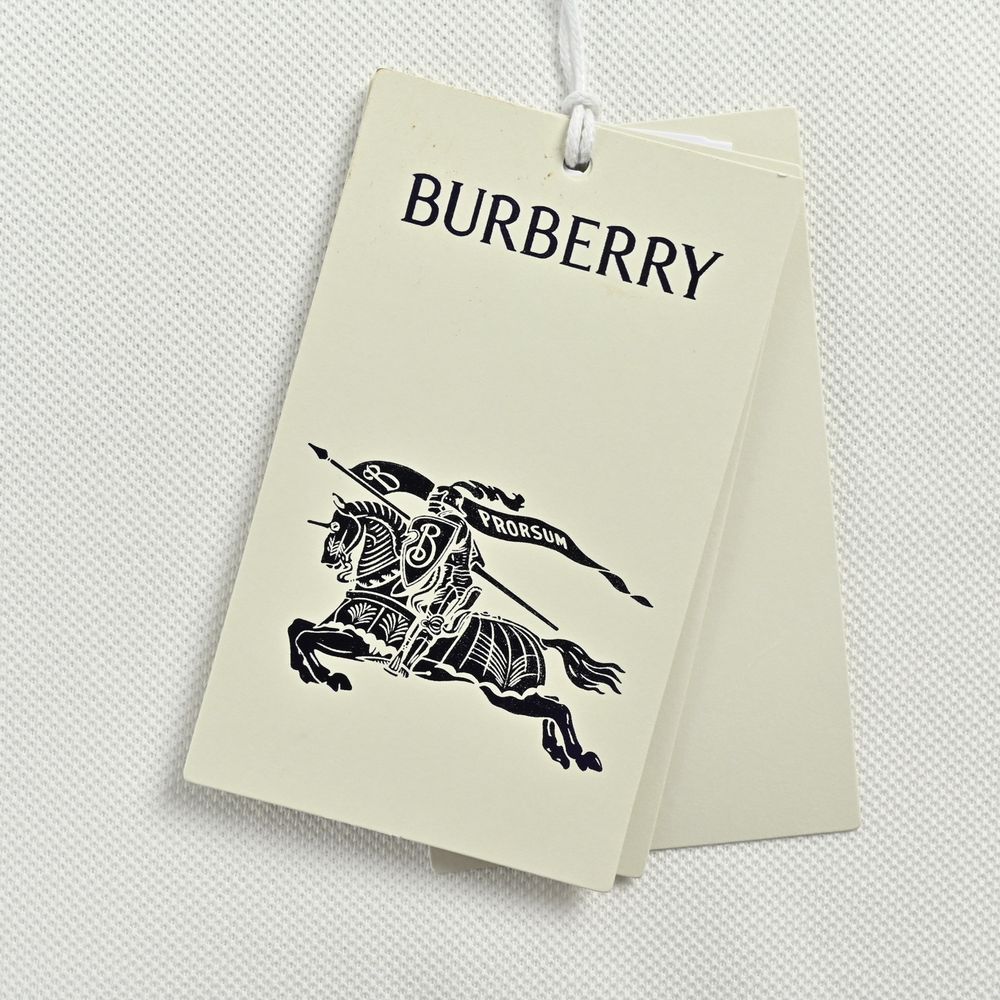 Burberry Polo(AAA)-037