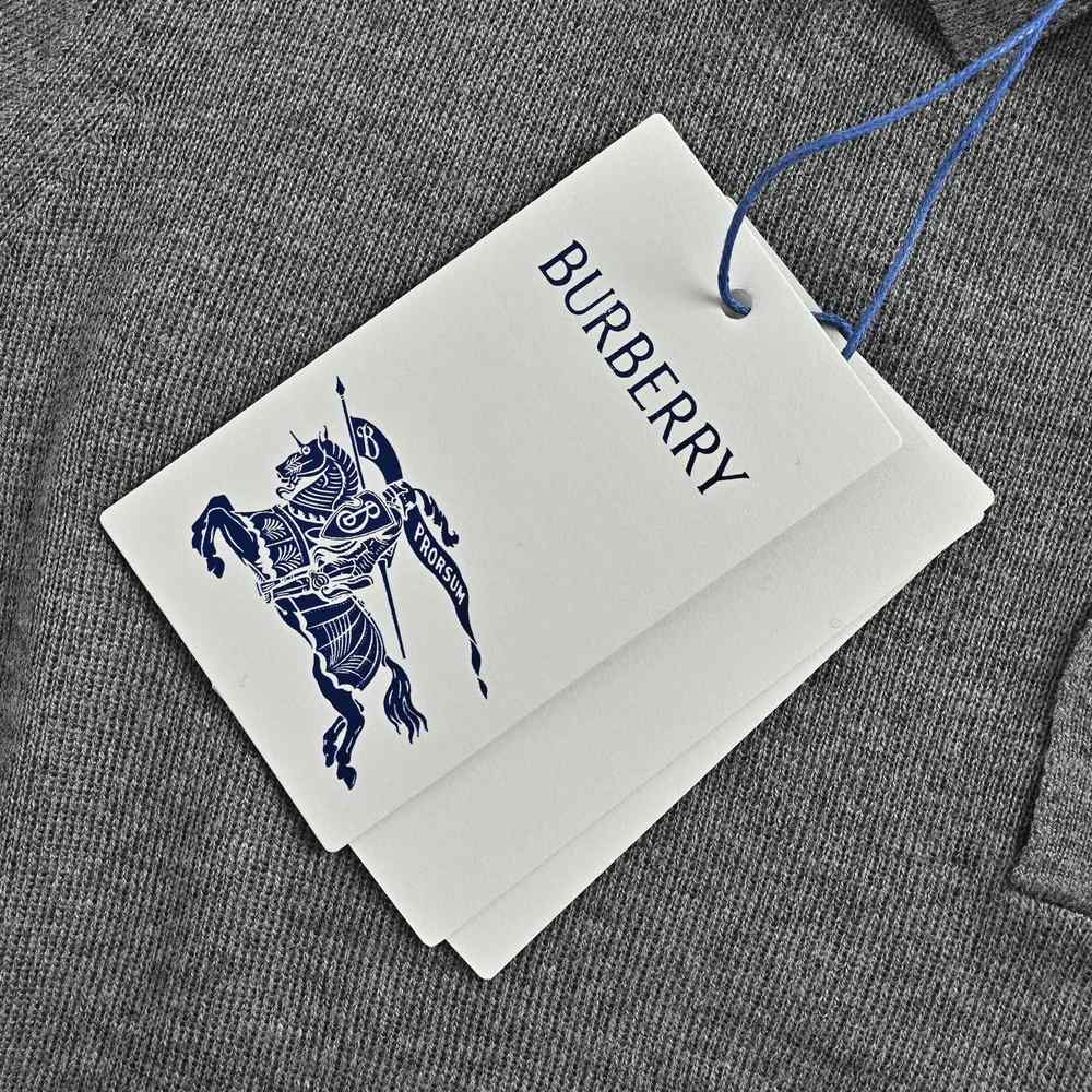 Burberry Polo(AAA)-078