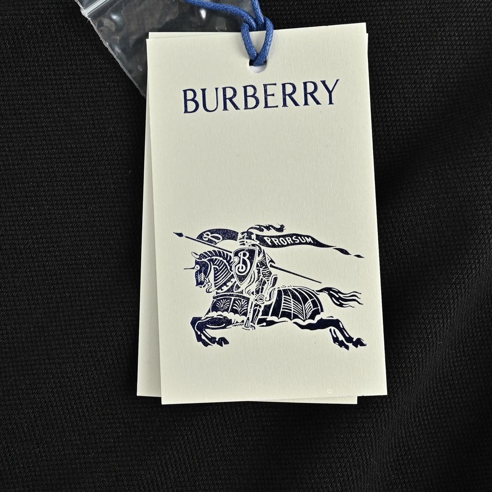 Burberry Polo(AAA)-046