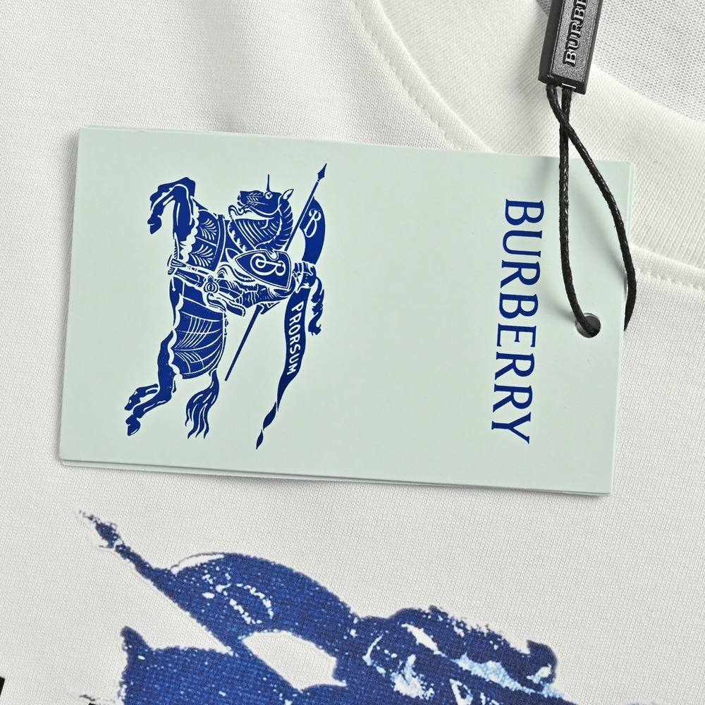 Burberry T-shirts-1063