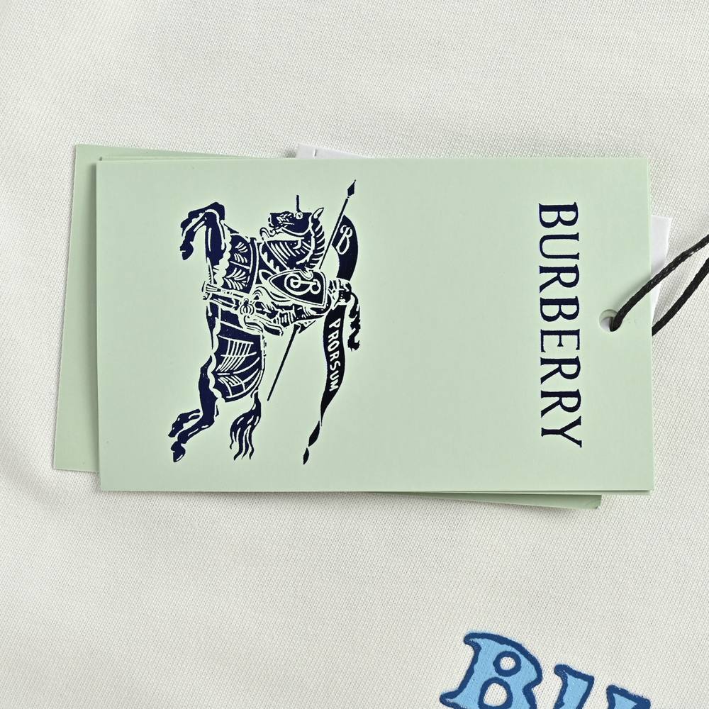 Burberry T-shirts-1224