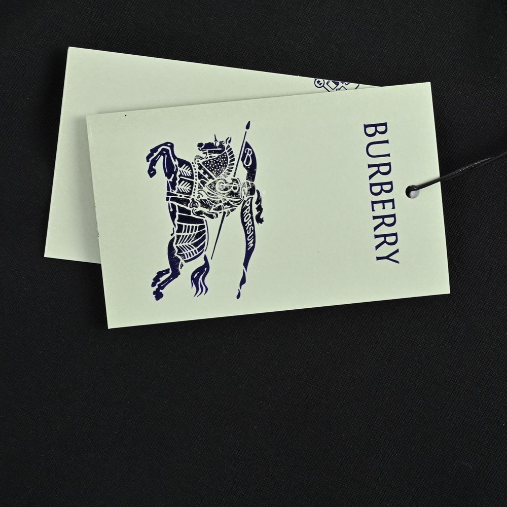 Burberry T-shirts-1097