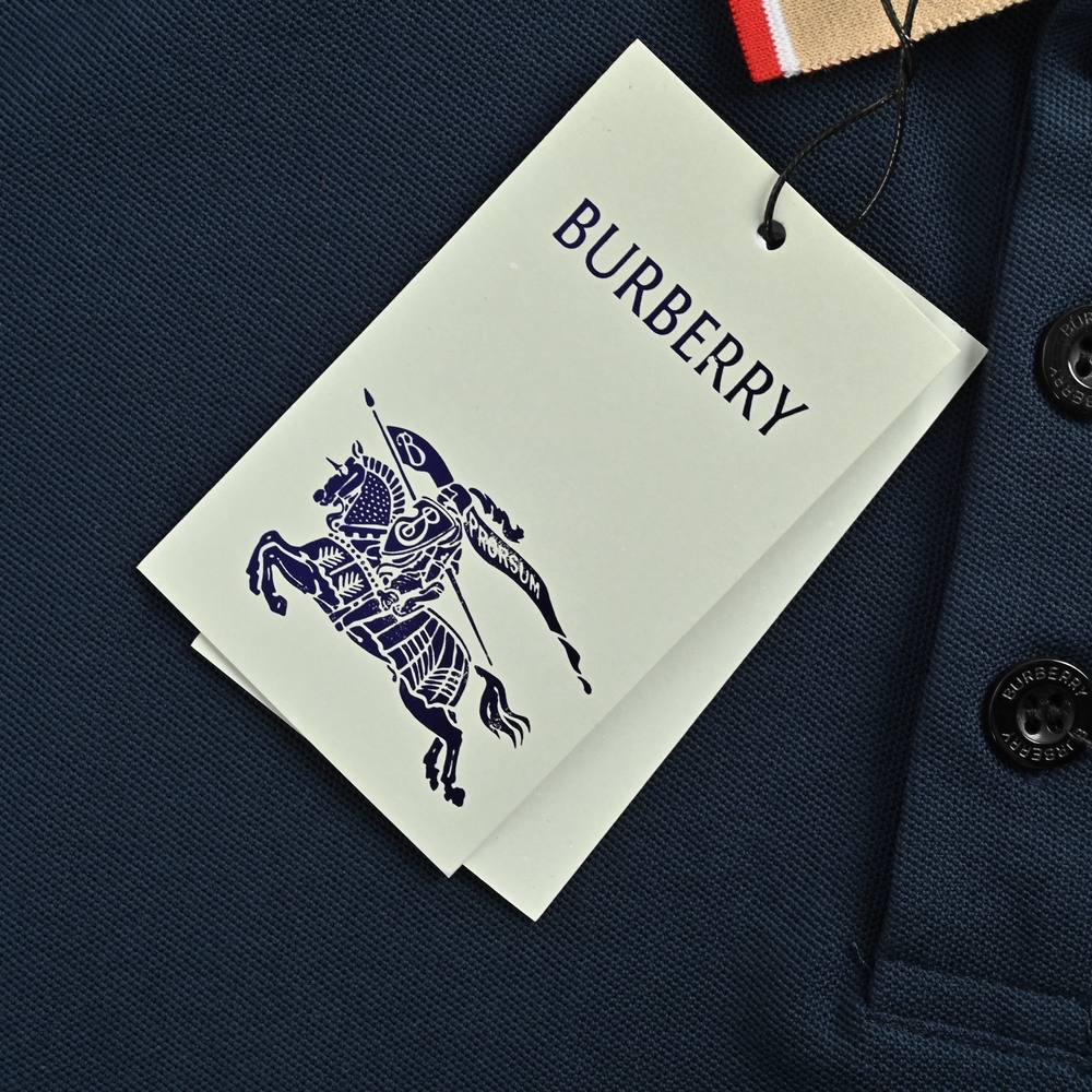 Burberry Polo(AAA)-011