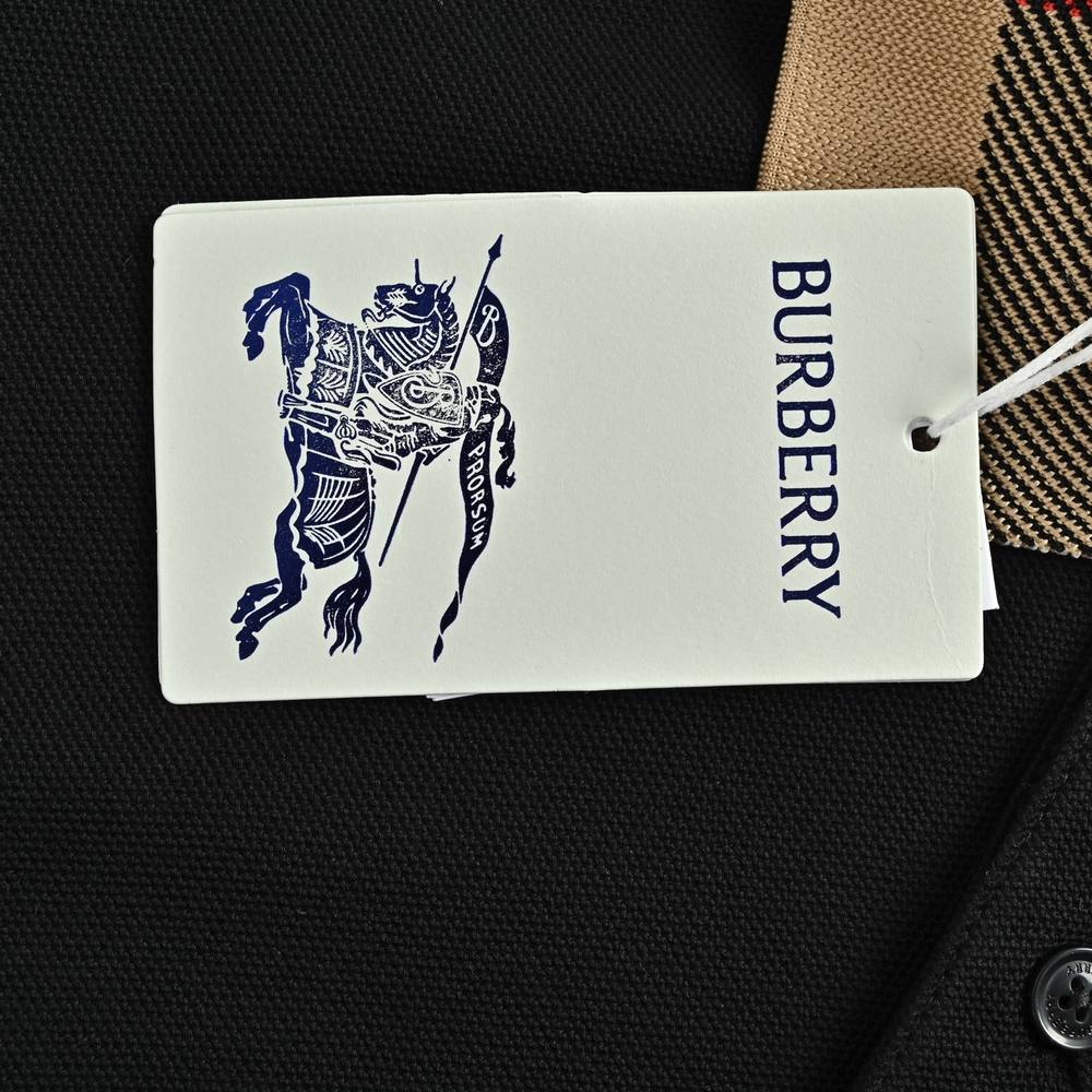 Burberry Polo(AAA)-093