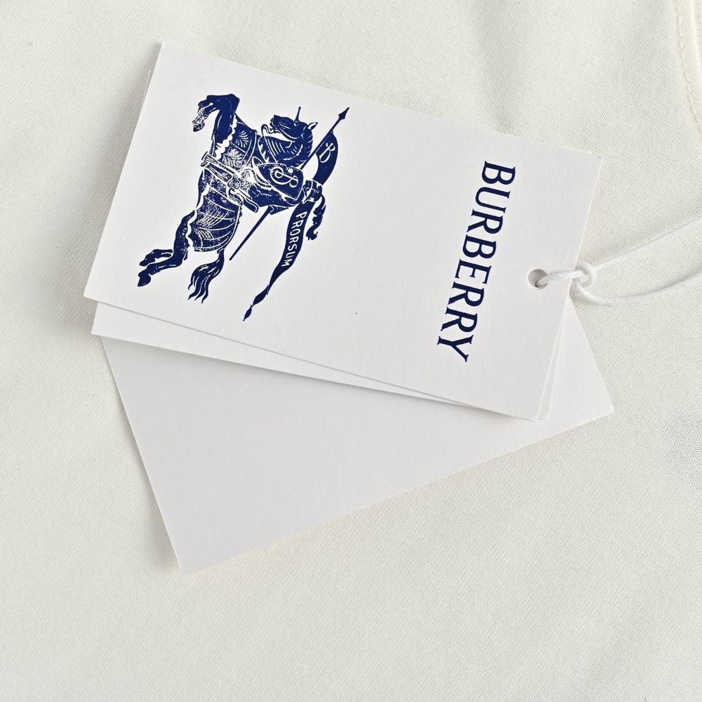 Burberry T-shirts-1066