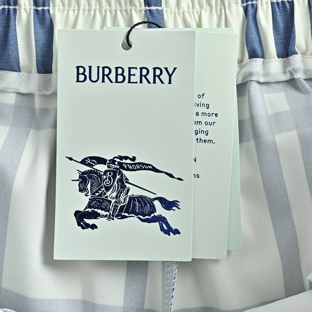 Burberry Shorts-102