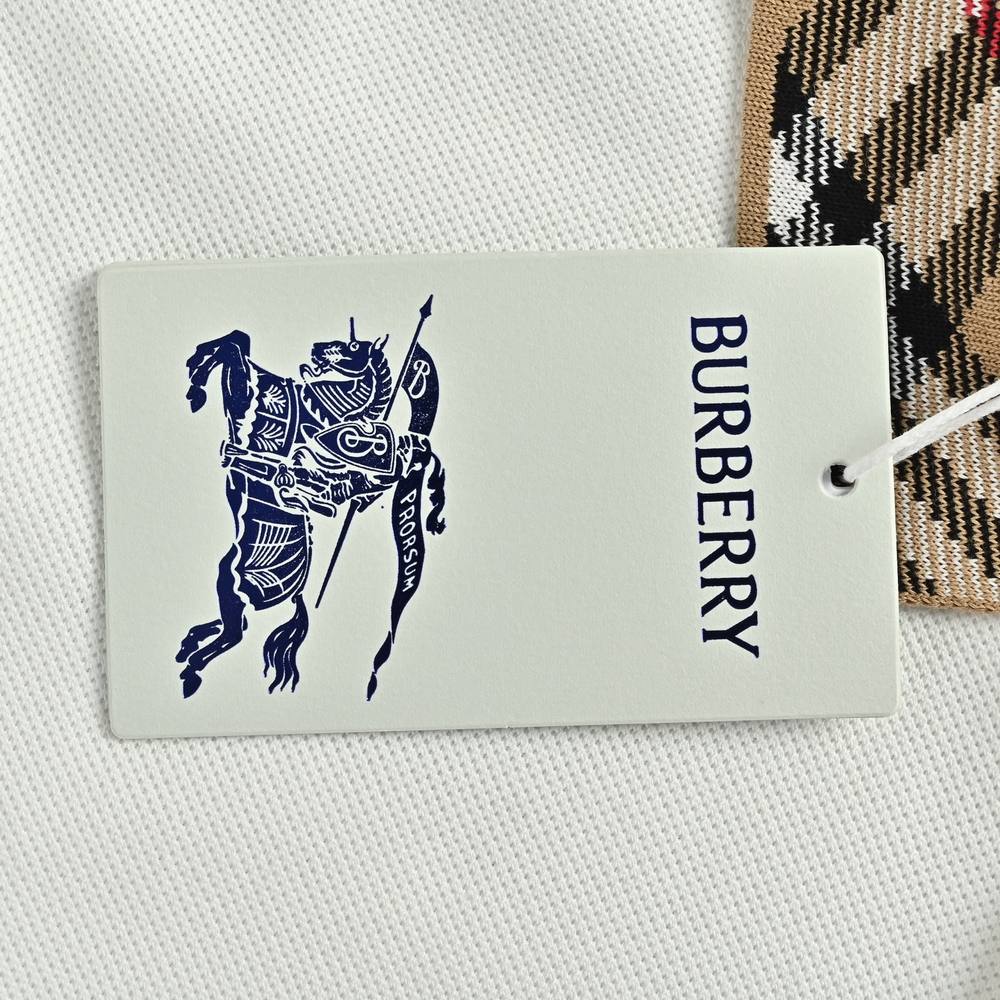 Burberry Polo(AAA)-089