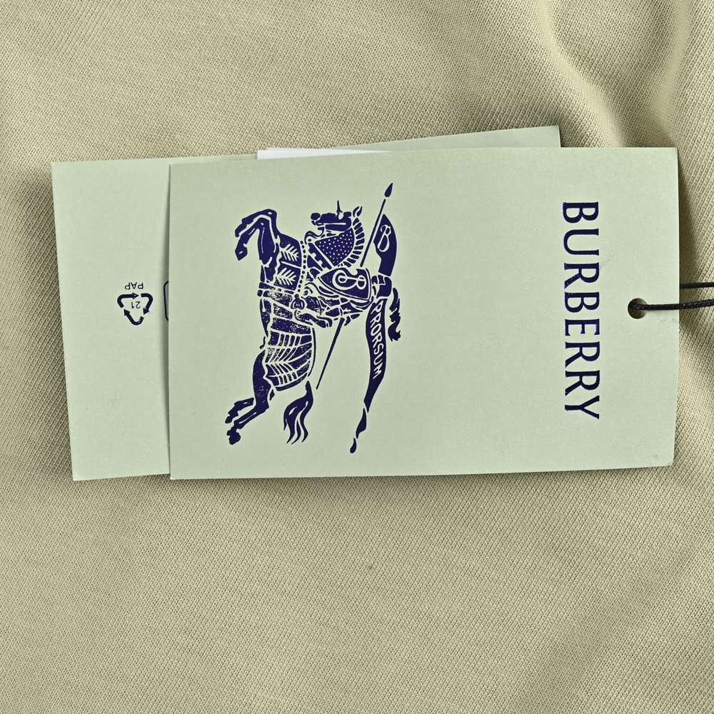 Burberry T-shirts-1123