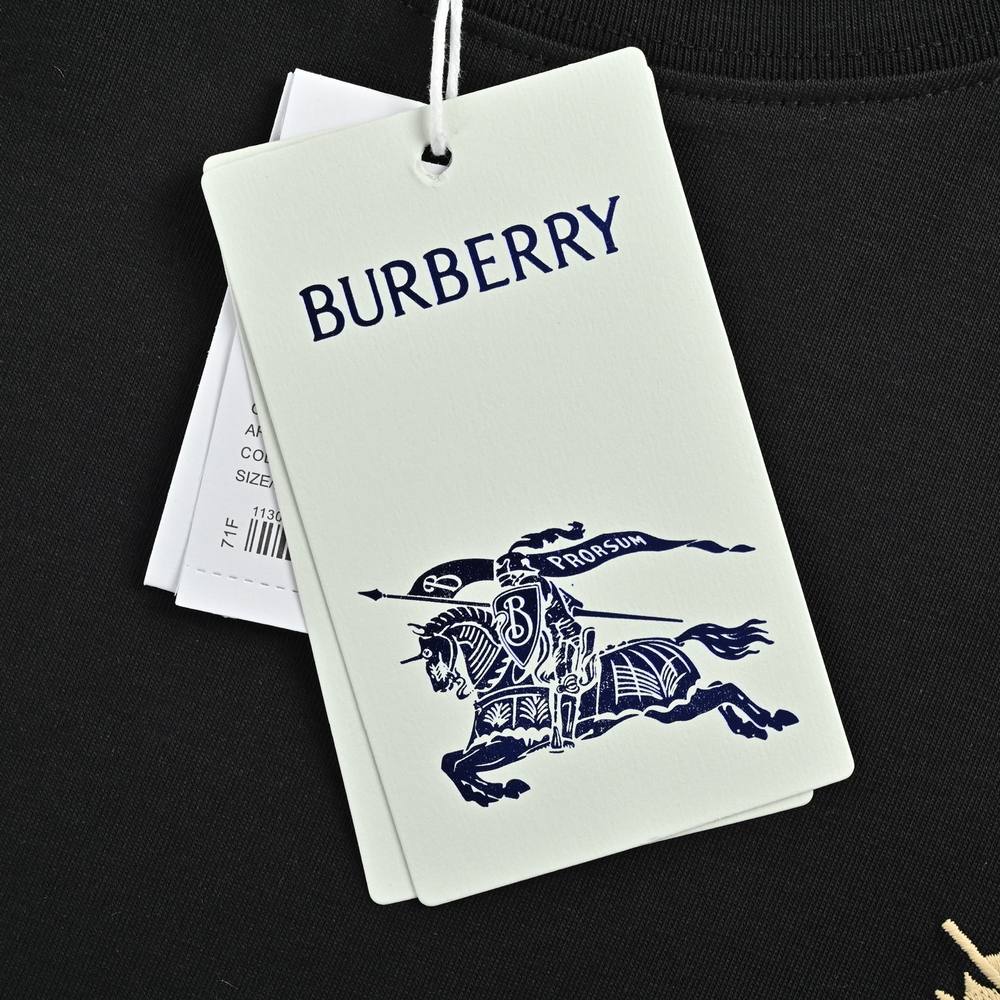 Burberry T-shirts-1119