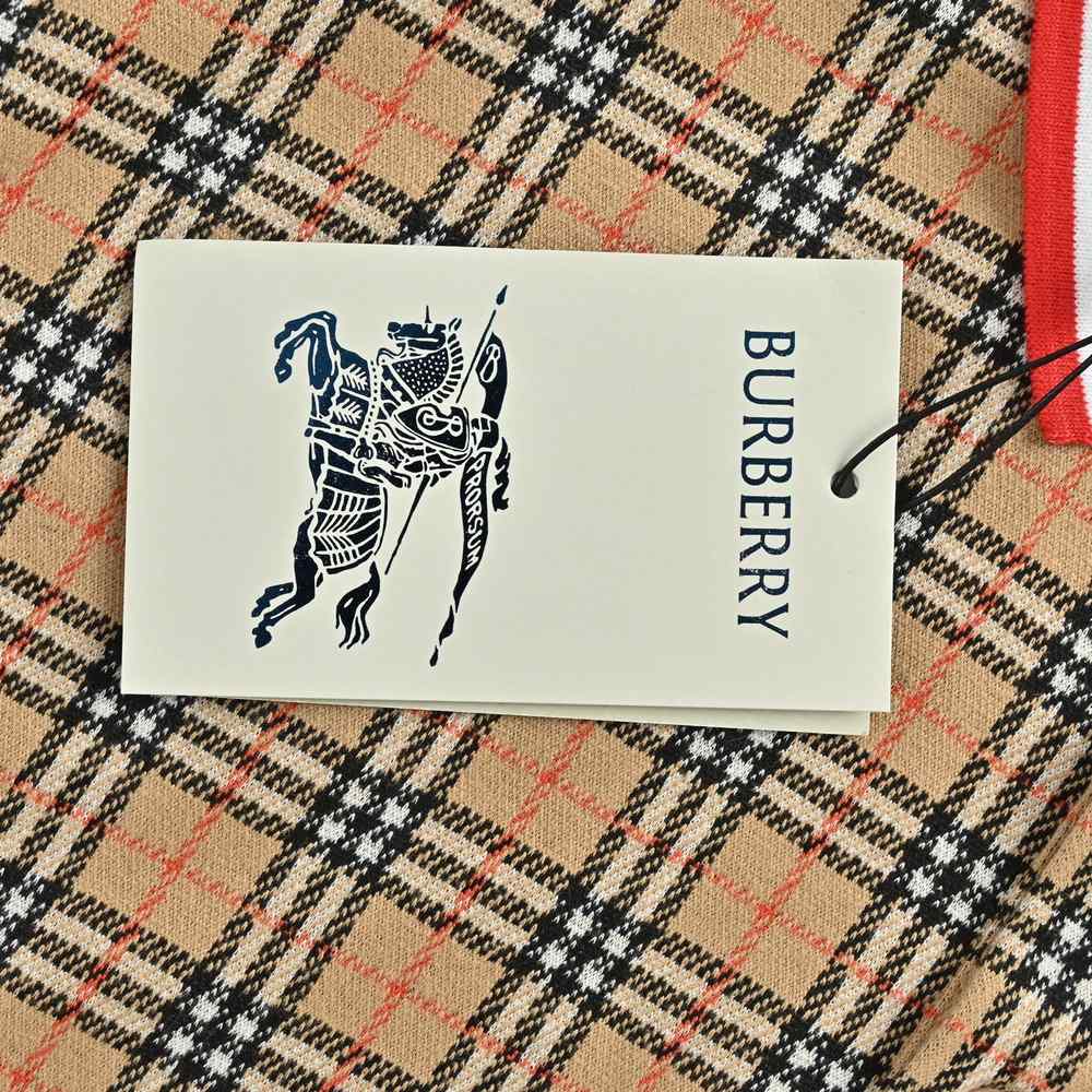 Burberry Polo(AAA)-040